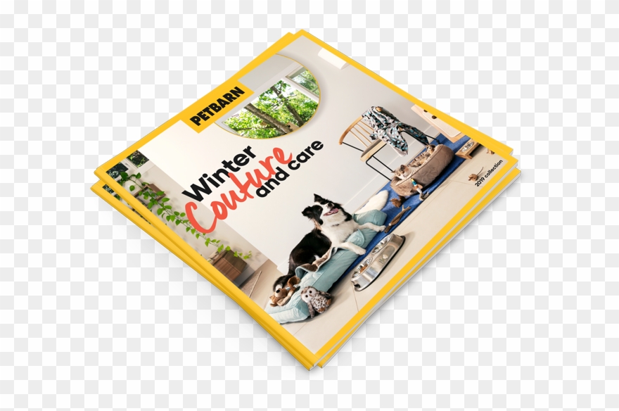 Winter Couture And Care - Skateboarding Clipart