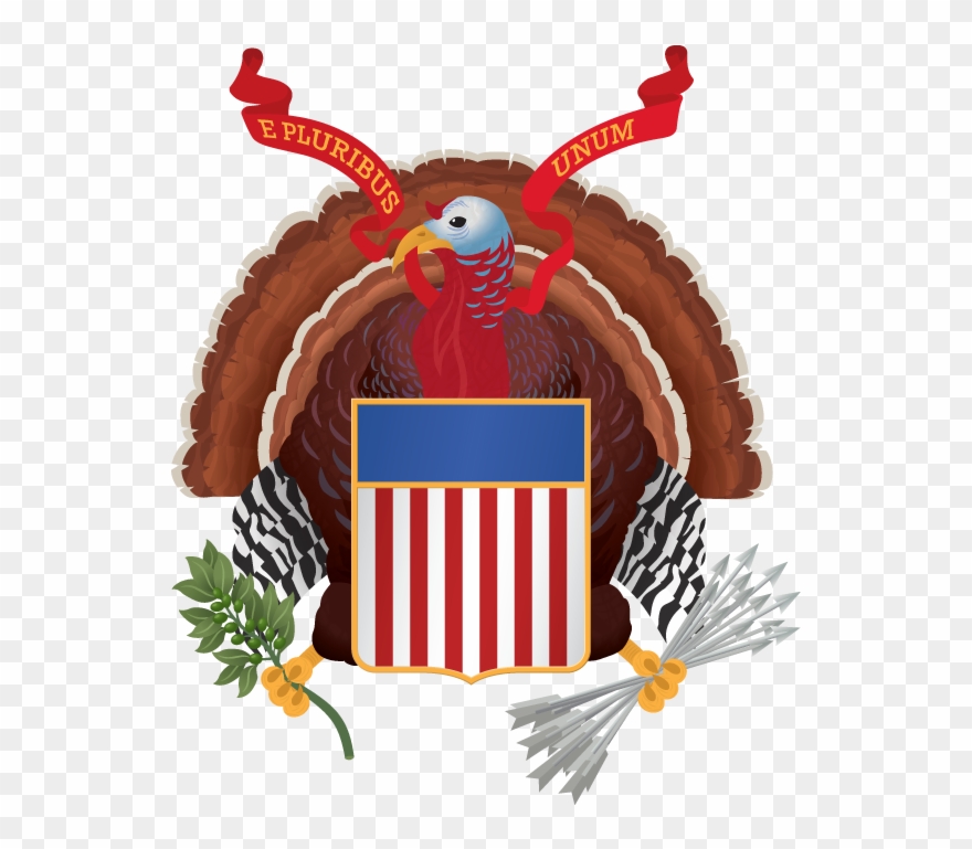 Why The Turkey Didn't Fly Cover Illustration - Illustration Clipart