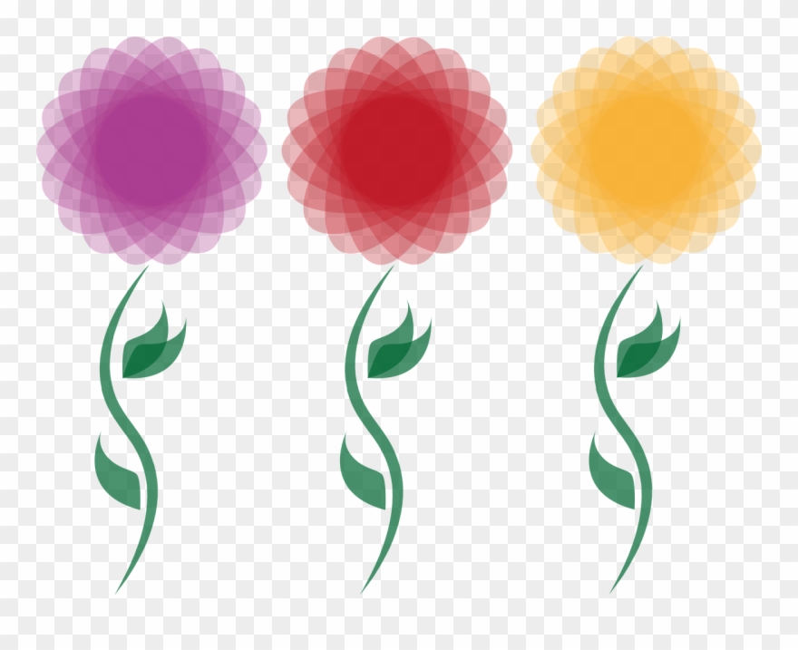 Chrysanthemum Flower Blossom Clipart