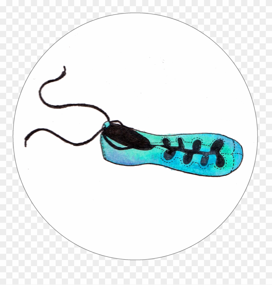 Irish Dance Art Watercolor Dance Shamrocks Sketchpad Clipart