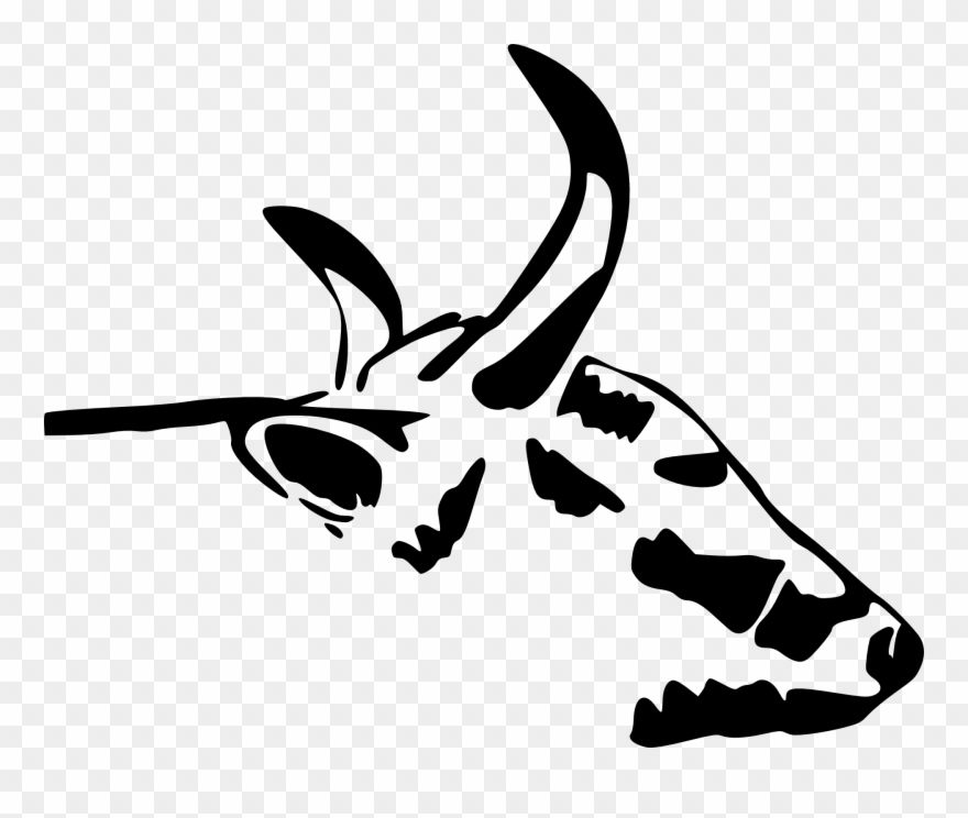 Cow Head, Side View, Illustration - Cow Head Clipart