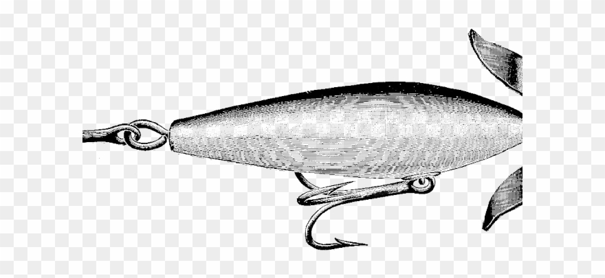 Fisherman Clipart Vintage - Bait Fish - Png Download