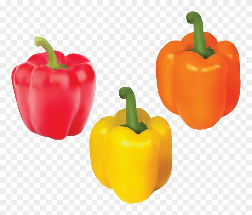 Яндекс - Фотки - Bell Pepper Clipart