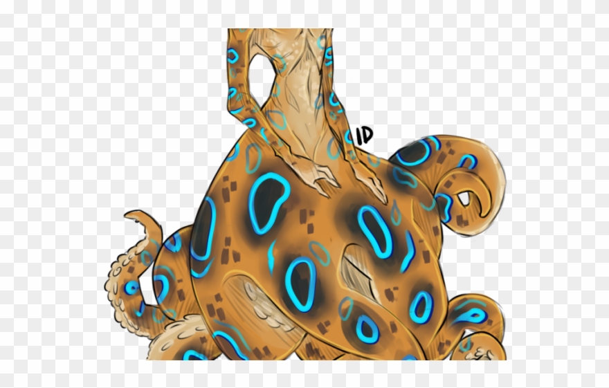 Drawn Octopus Blue Ringed Octopus - Blue Ringed Octopus Drawings Clipart