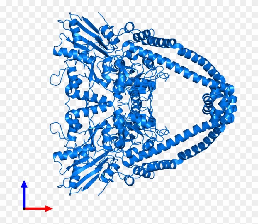 <div Class='caption-body'>pdb Entry 2xcq Contains 2 Clipart