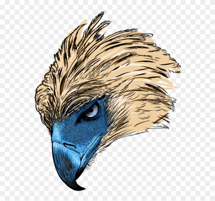 Philippine Eagle Logo Png - Philippine Eagle Head Png Clipart