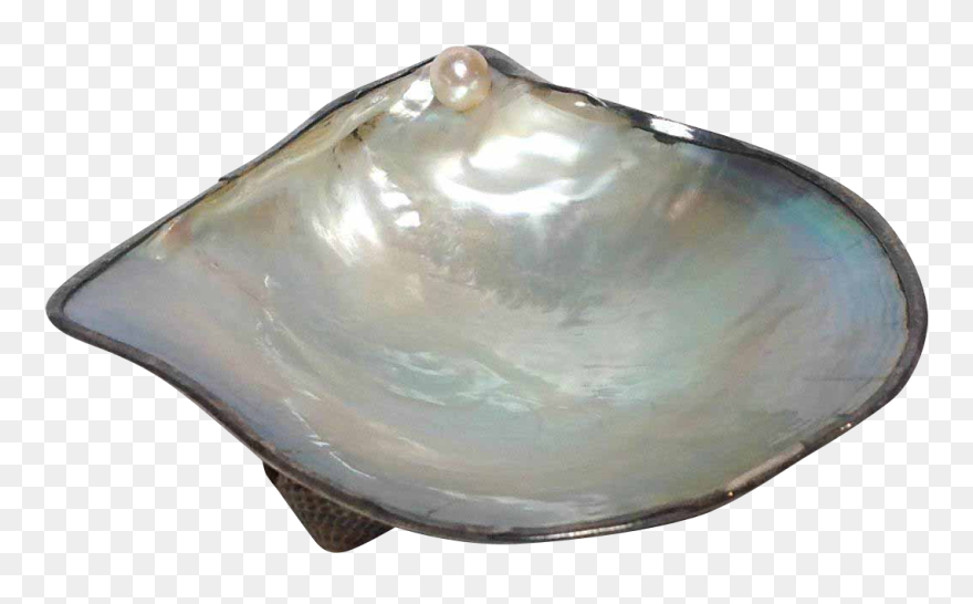 1040 X 1040 10 0 - Oyster Shell Png Clipart