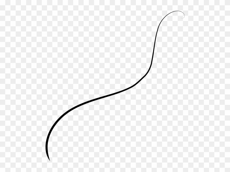 Wyckoff Real Estate Agent - Line Art Clipart