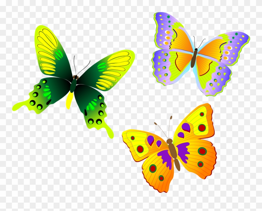 Png Official Psds Share - Butterfly Vector Free Clipart