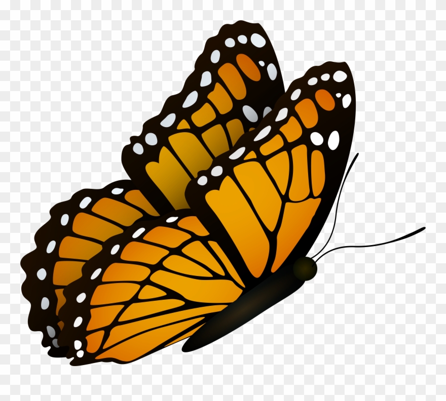 View Full Size Clipart
