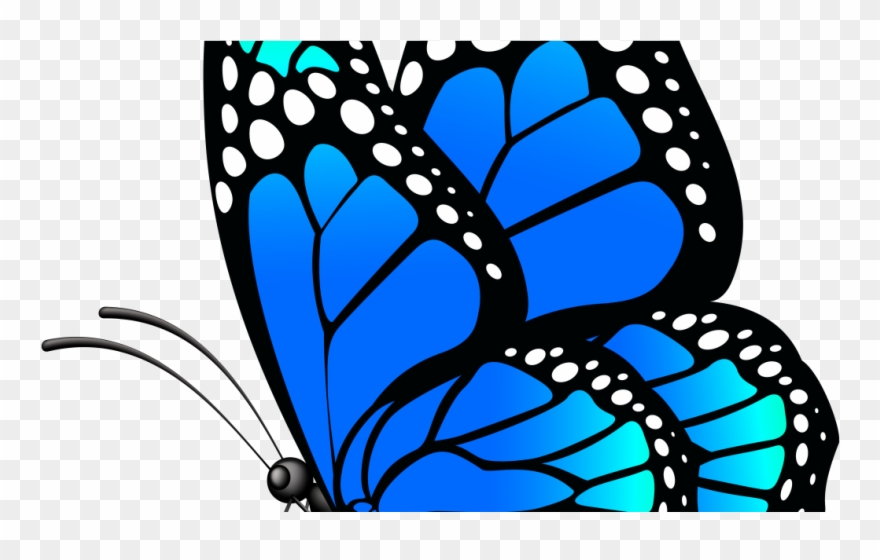 Butterfly Hd Png Download Clipart