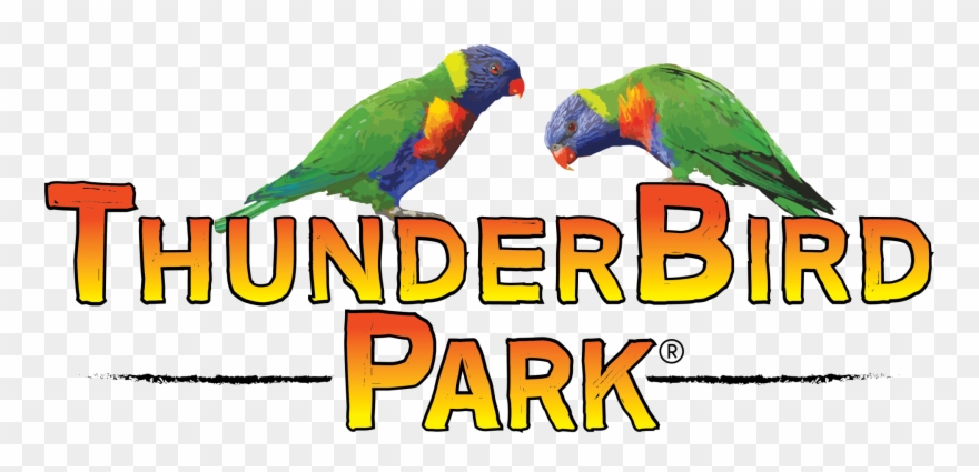 Treetop Challenge & High Ropes - Macaw Clipart