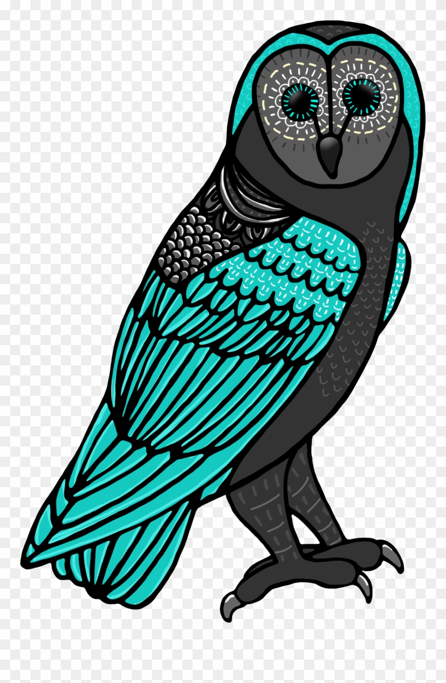 Ch De Teachers Pay Teachers Cute Owl Owls Clip Art - Illustration - Png Download