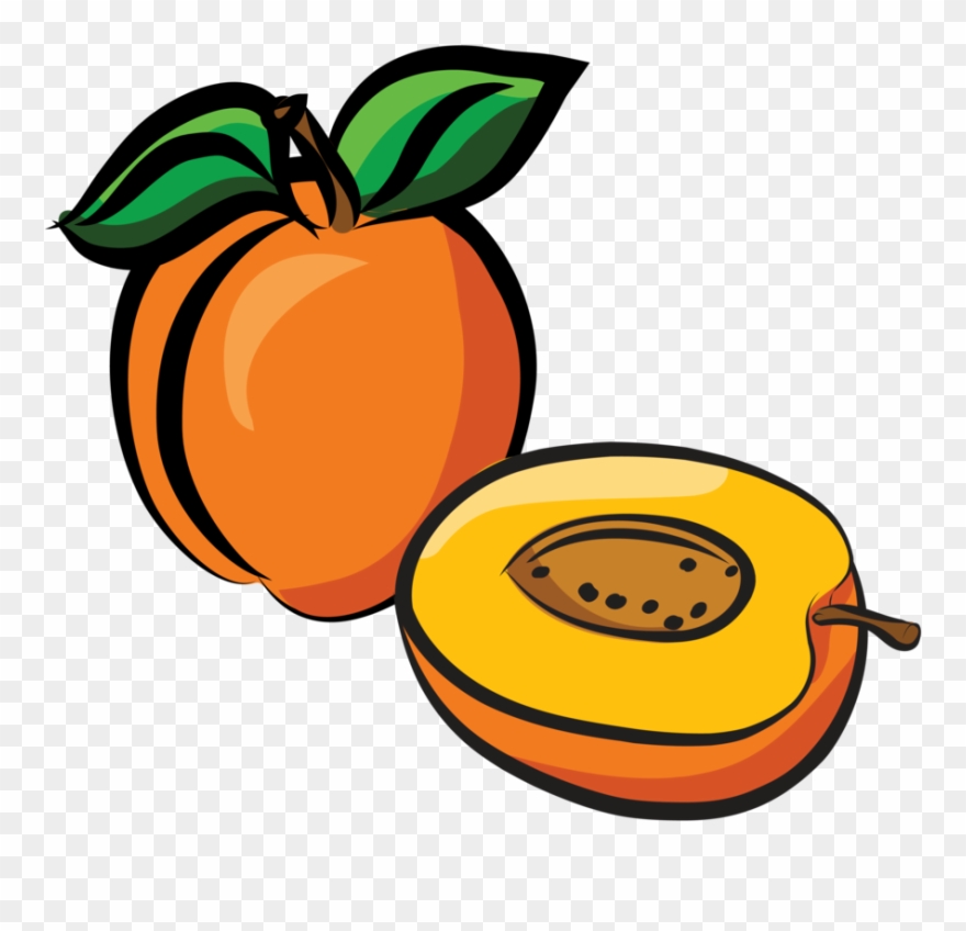 Apricot Rgb 01 Dessin Abricot Clipart Pinclipart