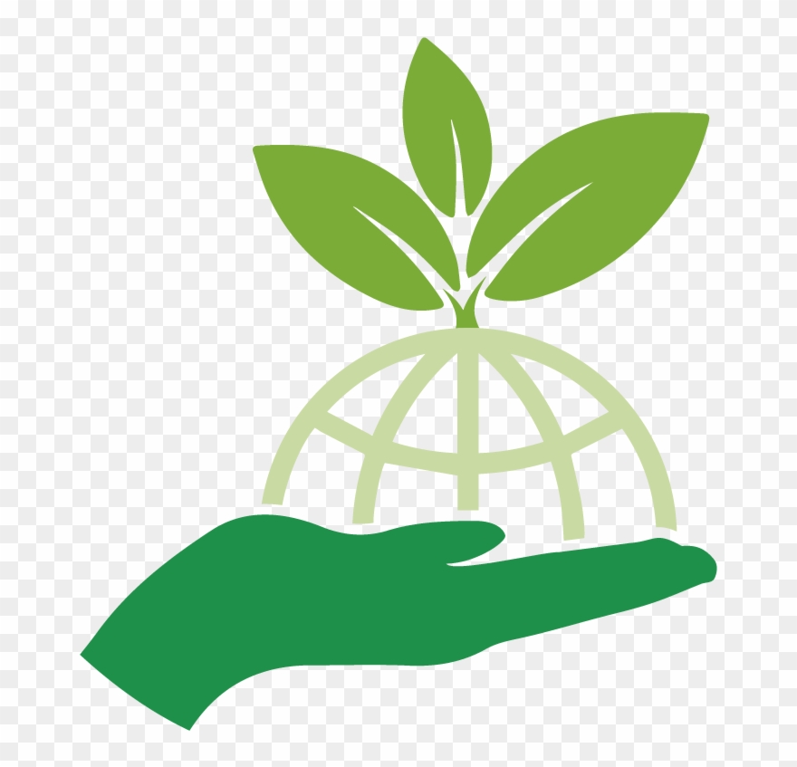 Video Of Compost Net Argentina Clipart