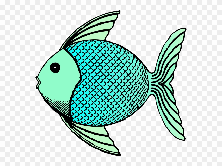 Tropical Fish Clip Art - Fish Cartoon Black And White - Png Download