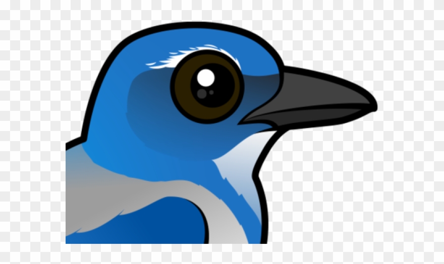 Blue Jay Clipart Koyal - Scrub Jay - Png Download