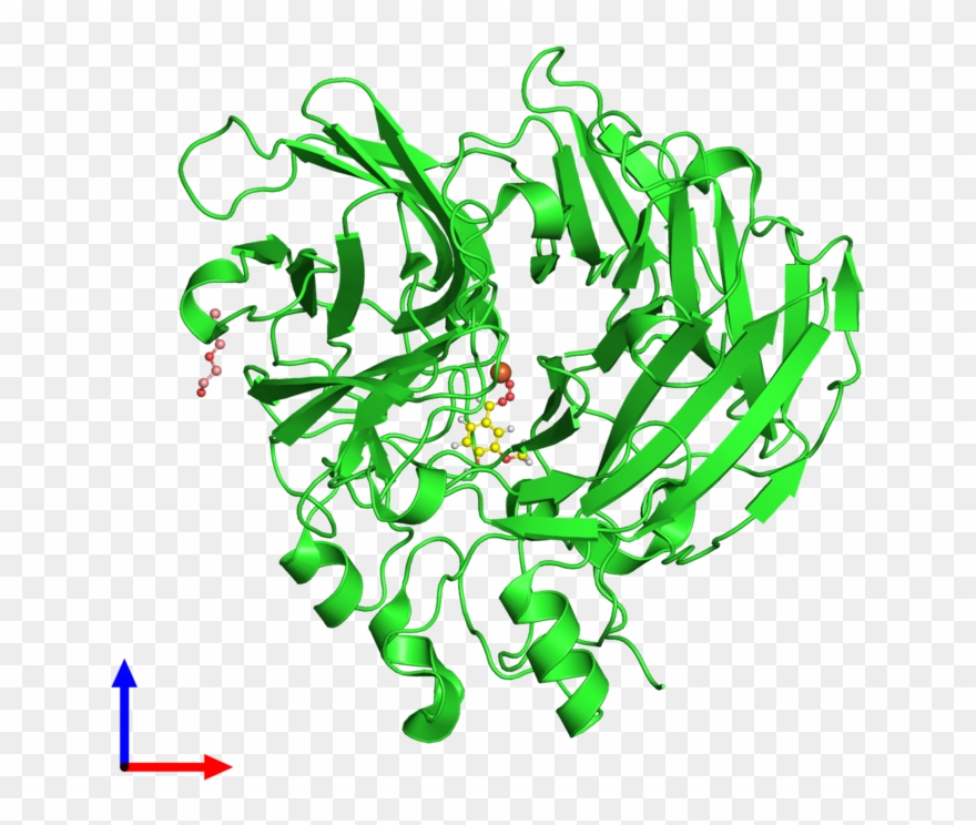 Pdb 5j55 Coloured By Chain And Viewed From The Front - Graphic Design Clipart