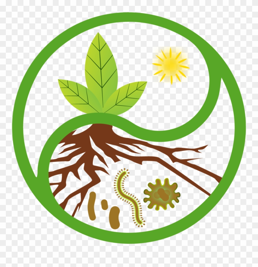 Logo Cropped Square Clipart