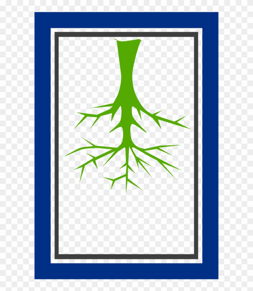 Bt Gr - Basic Part Of A Tree Clipart