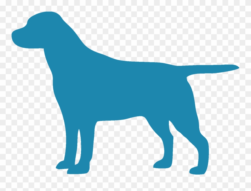 Dollar Labrador Retriever - Labrador Clipart