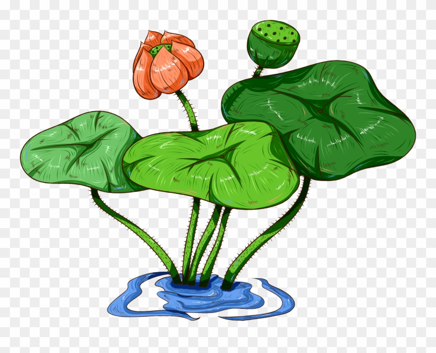 Original Commercial Hand Painted Aquatic Plants Png - Psd Clipart