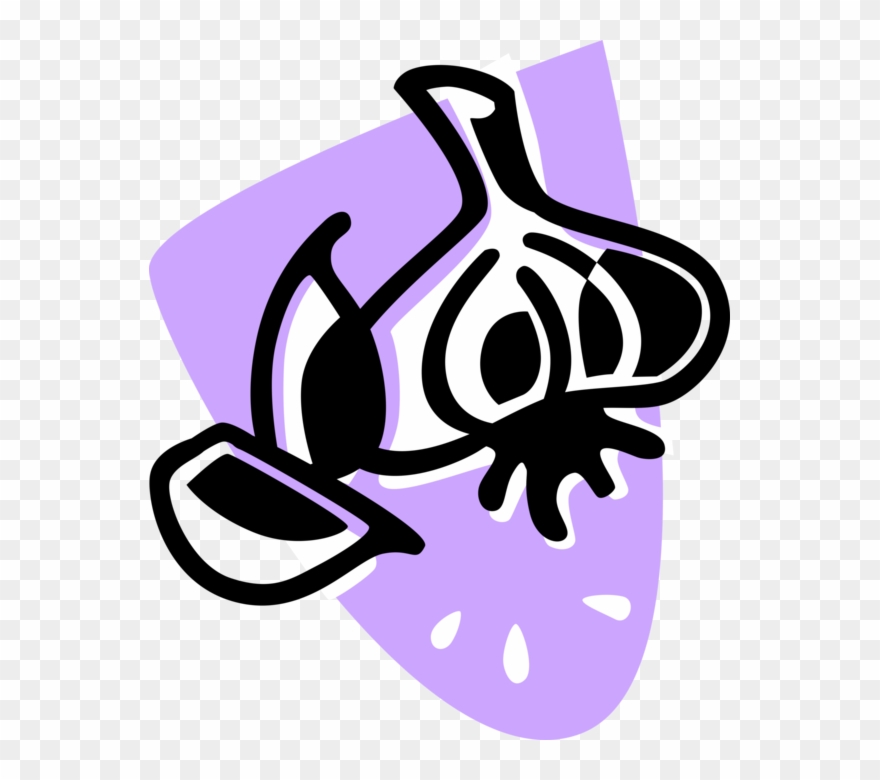 Vector Illustration Of Edible Pungent Culinary Bulb Clipart