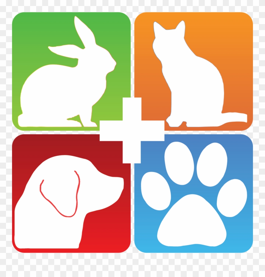 Domestic Rabbit Clipart