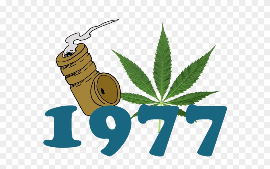 The Yankee Stoner - Pot Leaf Clipart