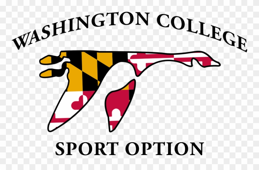 Washington College Athletics - Washington College Md Athletics Logo Clipart