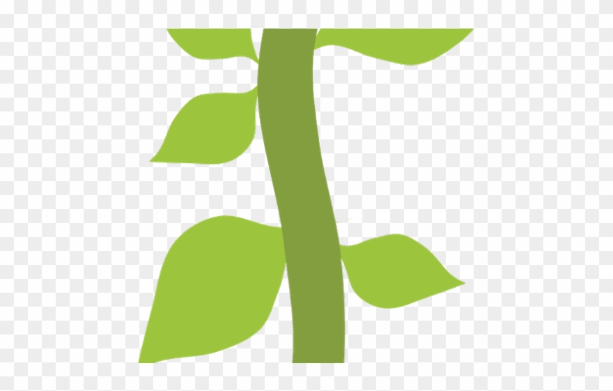 Fern Clipart Safari - Png Download