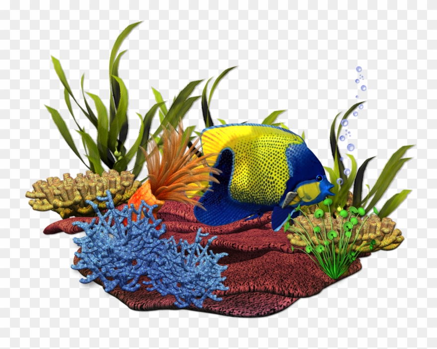 Seaside Clipart Ocean Life - Aquarium - Png Download