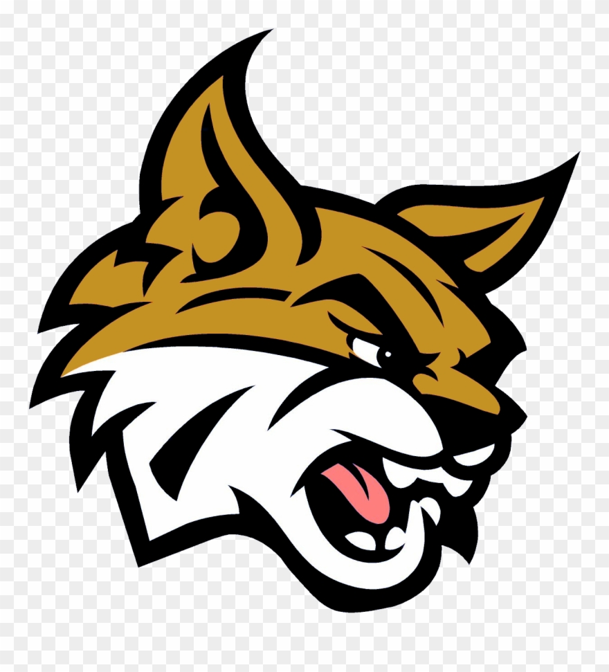 Blumfield - Bobcat Mascot Clipart