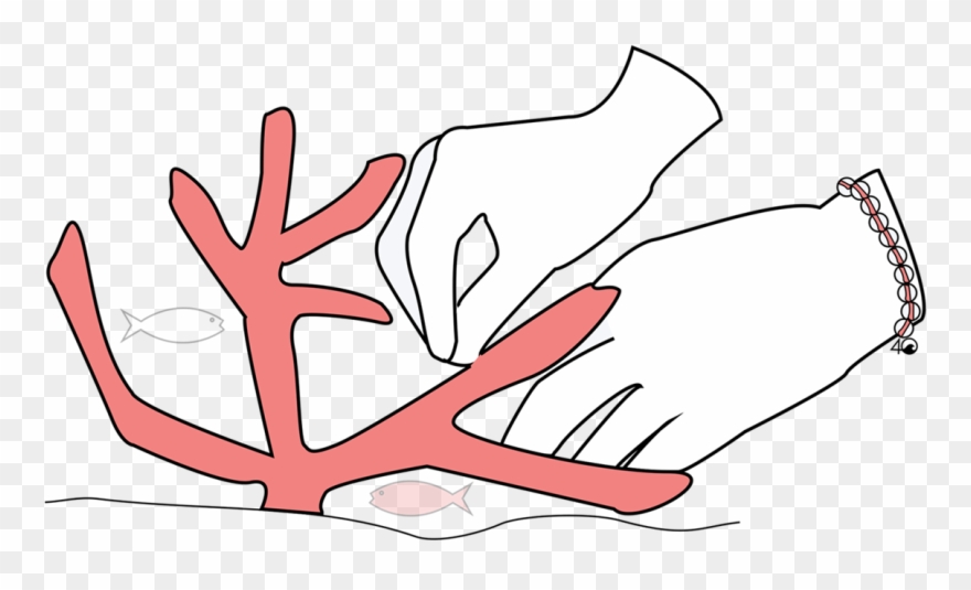 This Bracelet Helps Restore Coral Colonies Clipart