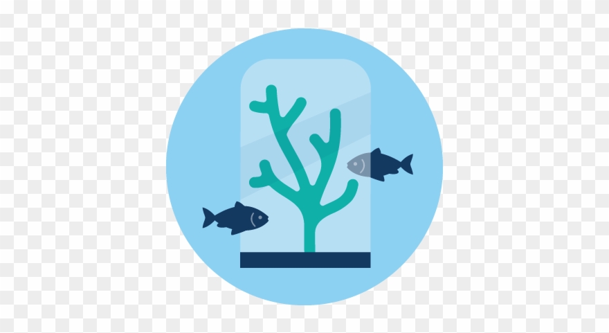 Illustration Representing Fish On A Coral Reef - Illustration Clipart