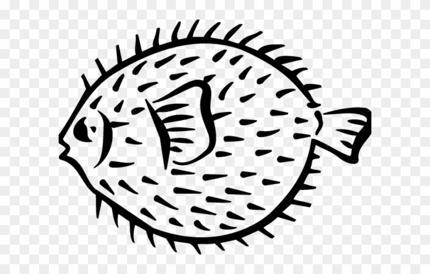Pufferfish Clipart Black And White - Draw Porcupine Fish - Png Download