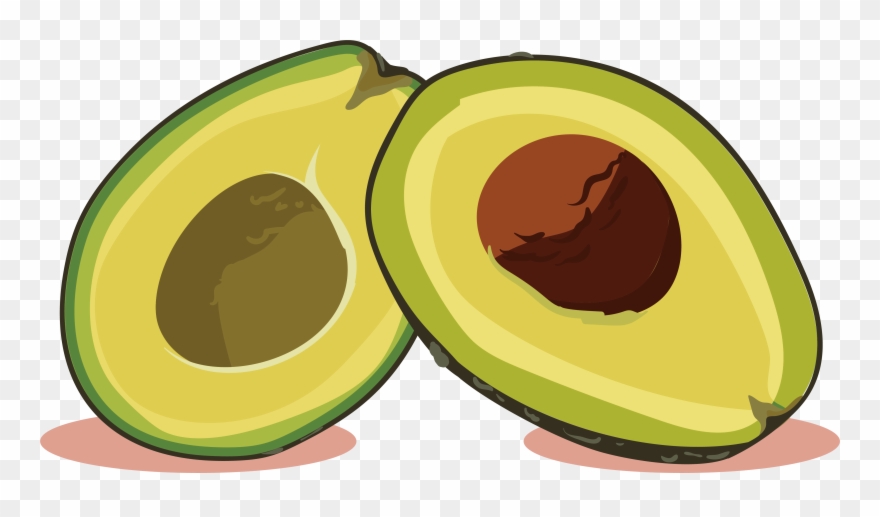 Avocado Euclidean Vector Computer File - Imagenes De Aguacate Animada Clipart
