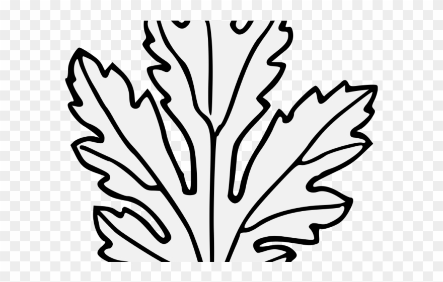 Chrysanthemum Clipart Svg - Line Art - Png Download