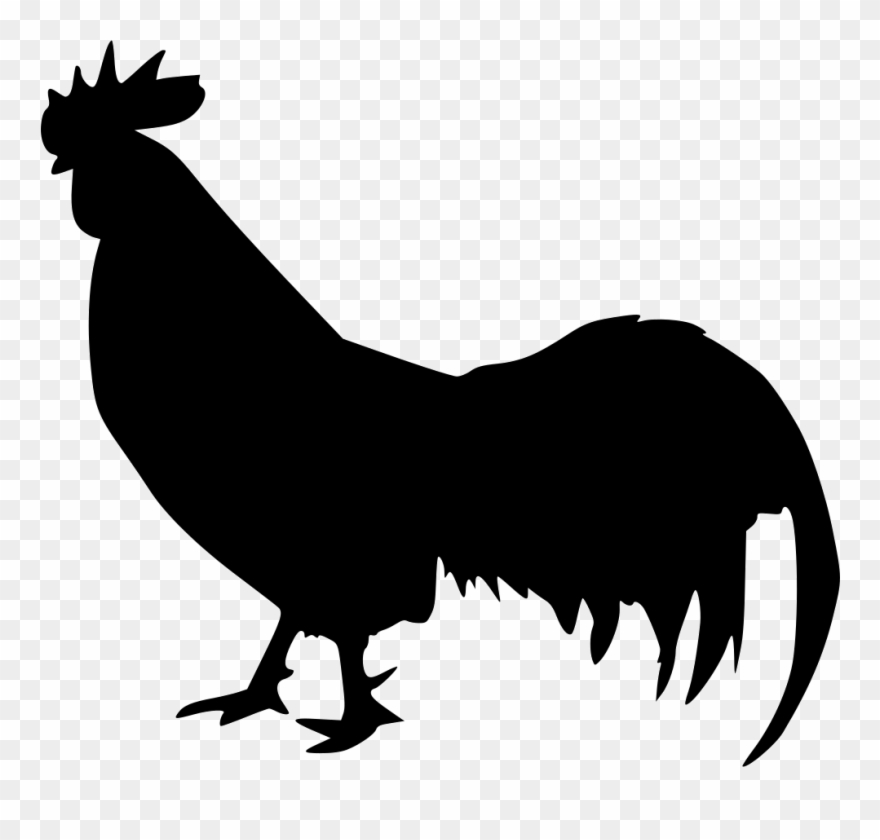 Animal Cock Rooster Svg Png Icon Free Download - Black Chicken Cut Out Clipart