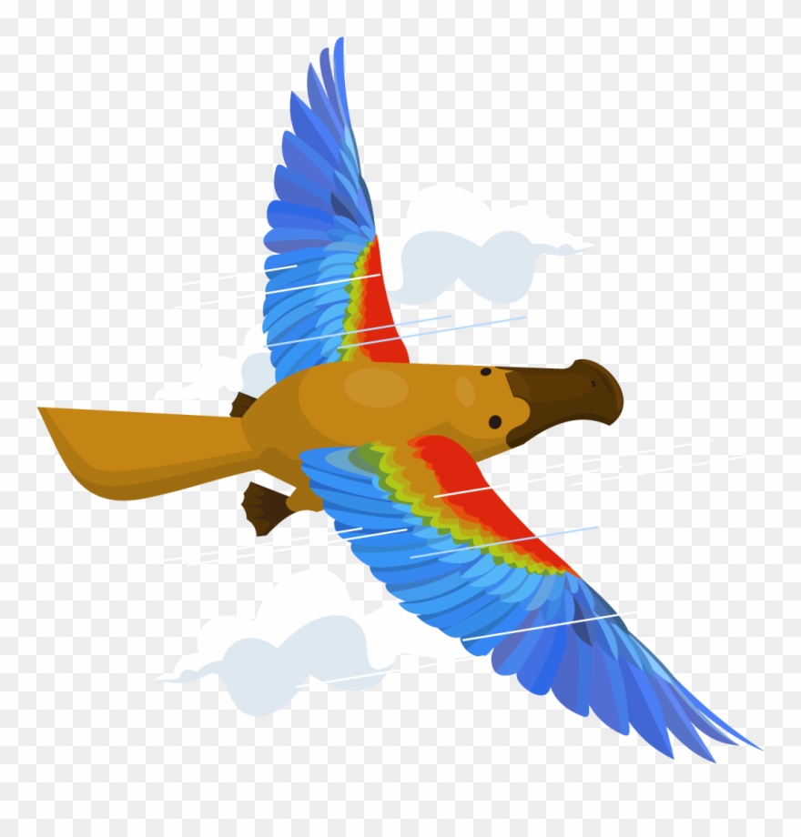 How Do I Fly The Platypus & Grow My Business - Flying Platypus Clipart