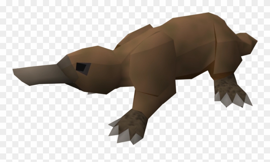 Stella Monaghan 10/1 - Platypus Location Clipart