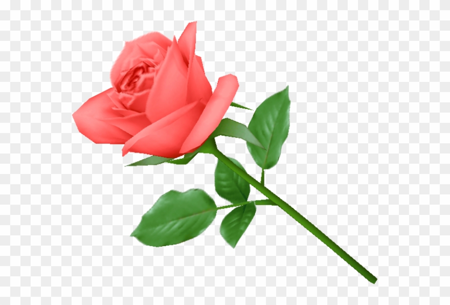 Red Rose Green Leaves Clipart Free Png Download - Rose In Png Format Transparent Png