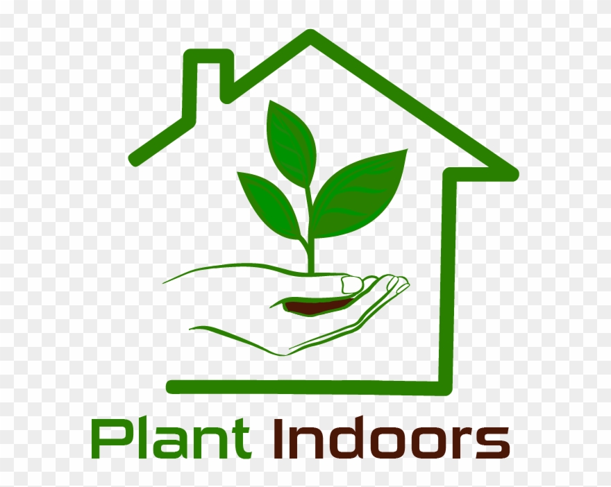 Hanging Plants Bracket Wall Planter Hook Flower Pot - Folha E Gota Clipart