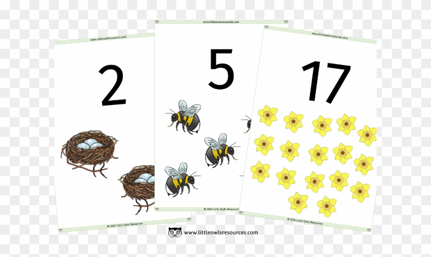 Cover Image - Hornet Clipart