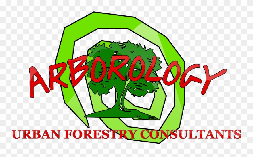 Arborology Inc Urban Forestry Consultants Certified Clipart