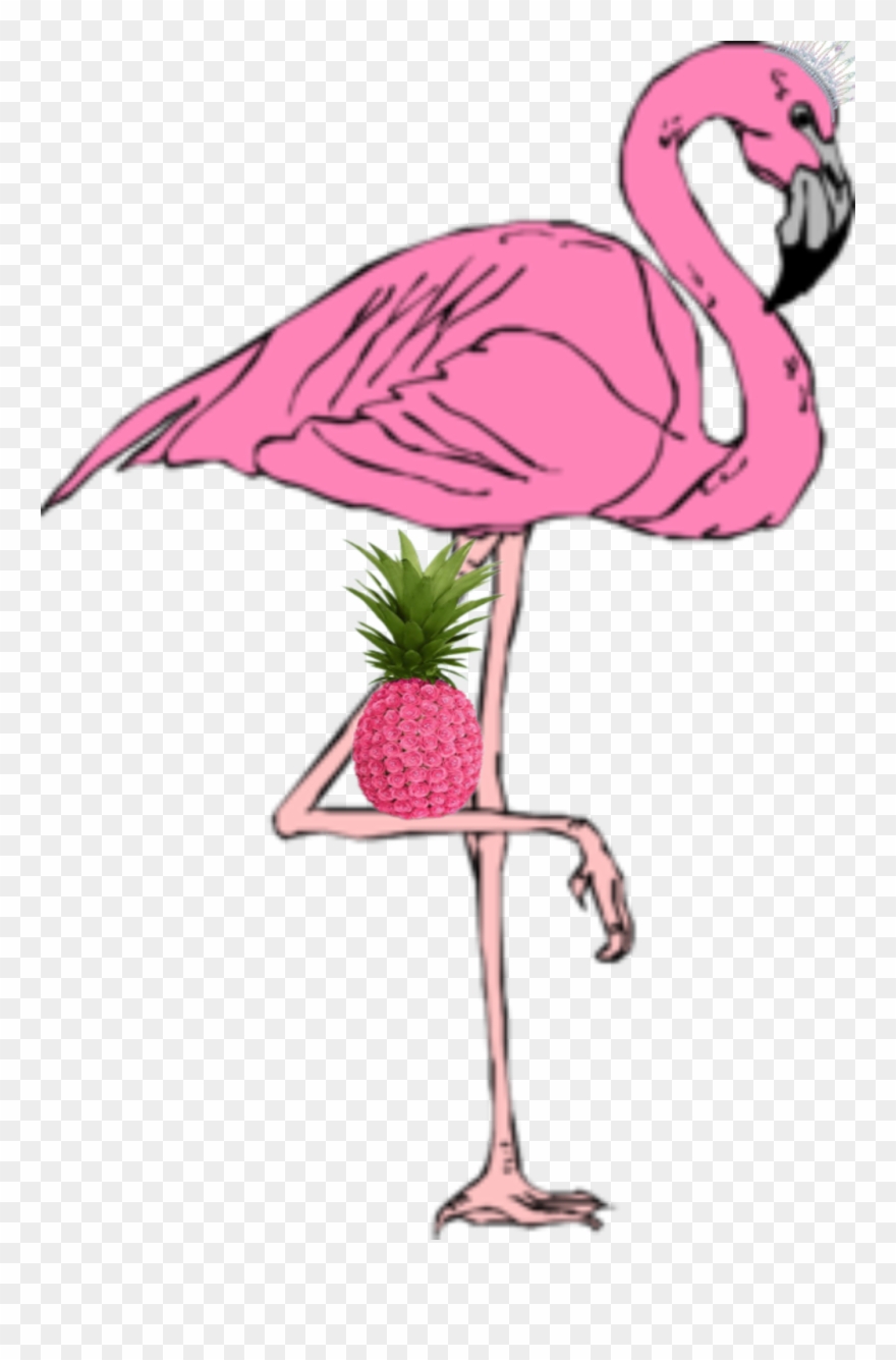 Princess Flamingo With A Pinapple - Flamingo With Bent Leg Clipart