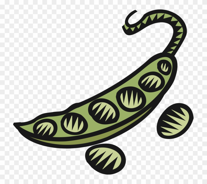 Vector Illustration Of Edible Vegetable Peas In Pod Clipart