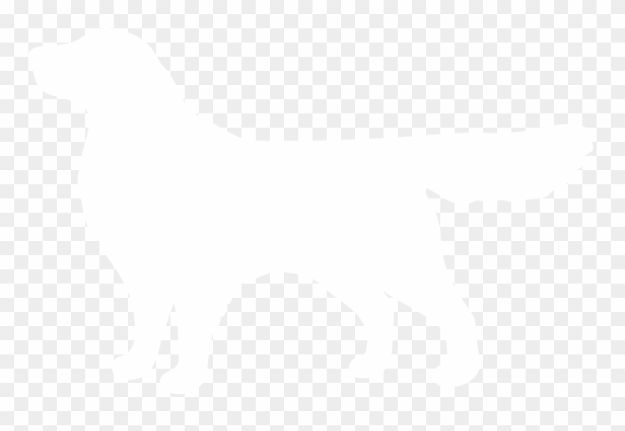 Silhouette Of At Getdrawings Com Free For - Golden Retriever Silhouette White Clipart