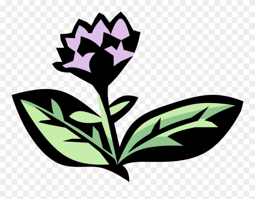 Black Vector Herb Clipart