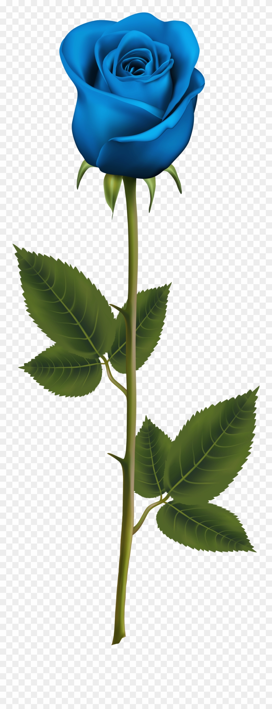 Light Blue Clipart Rose - Blue Rose With Stem Tattoo - Png Download